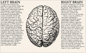 brain-of-a-designer-left-right